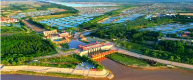 市场调研工作简报