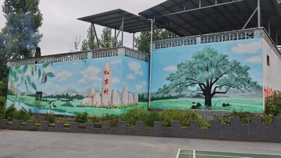 河南南召板山坪镇：环境整治提质增效 和美乡村颜值渐显